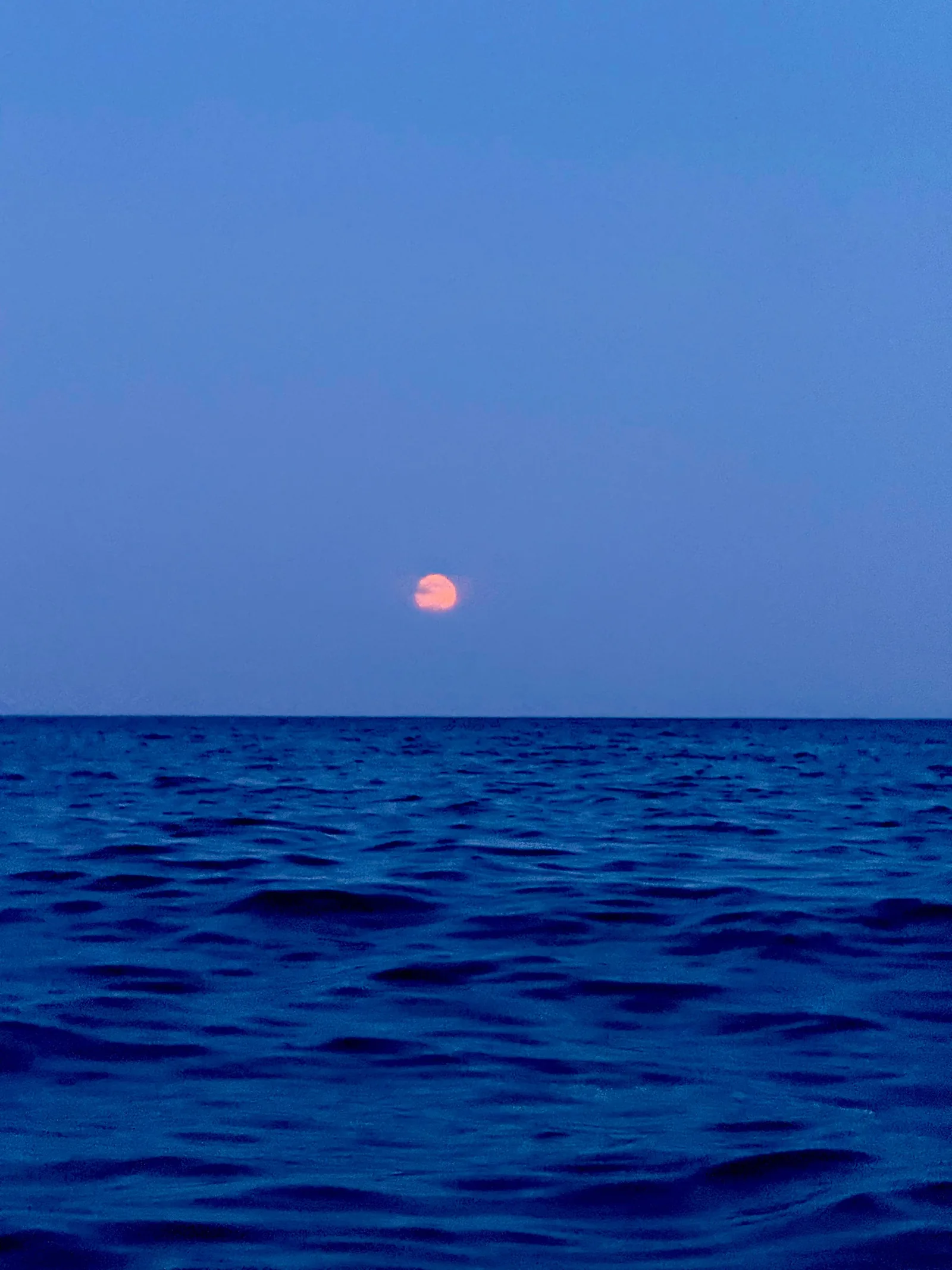 Paddle surf nocturno Full Moon en Benidorm